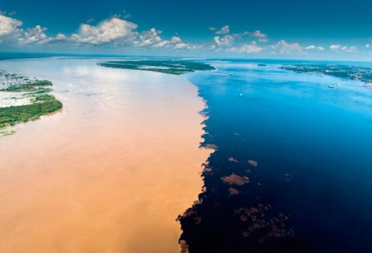 amazon--meeting of the waters